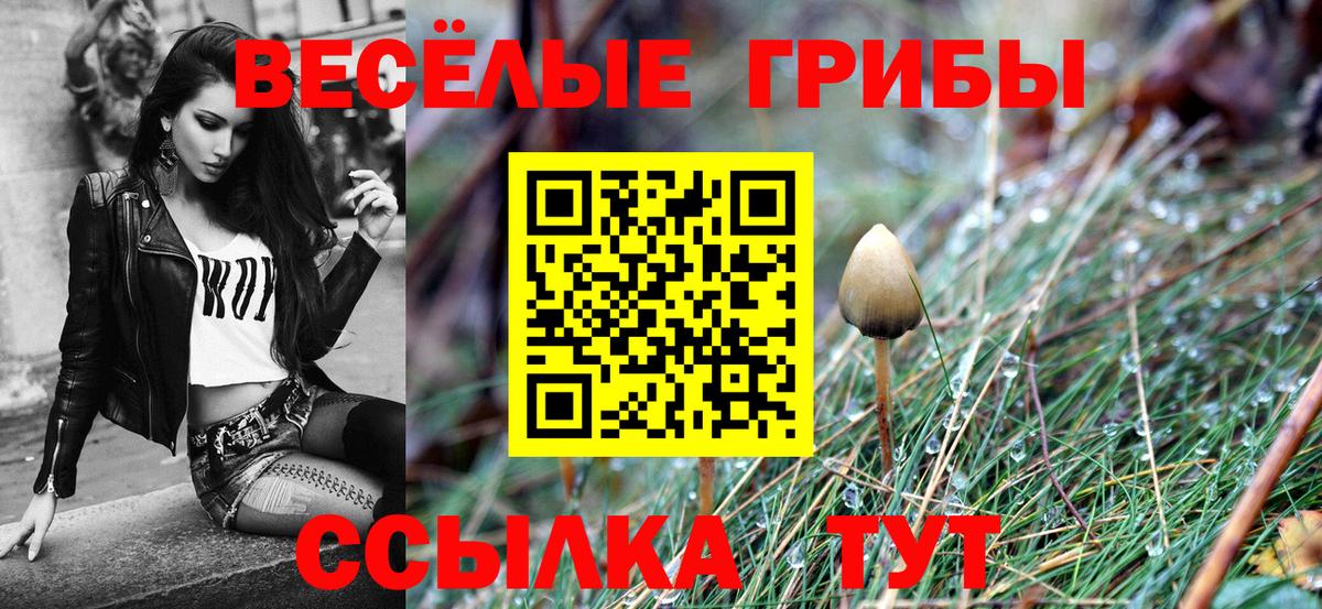Псилоцибиновые грибы MAGIC MUSHROOMS  Псилоцибиновые грибы ЛСД  Вход с VPN  Мурино 